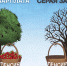Белая и серая зарплата. - Пестовский район