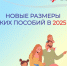 Новгородское ОСФР с января 2025 года выплачивает детские пособия в увеличенном размере. - Пестовский район