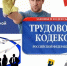 Неформальная занятость и легализация трудовых отношений. - Пестовский район