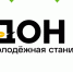 Молодежная станица «Дон. - Пестовский район