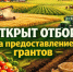 Предоставление грантовой поддержки крестьянским (фермерским) хозяйствам области. - Пестовский район